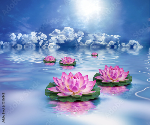 Illustration: Spa Beaute et Bien-Etre Spa Beaute et Bien-Etre
