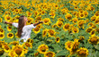 Girl in sunflowers