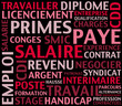 nuage de mots - salaire