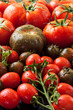 tomatoes