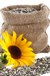 Sunflower Crocheted