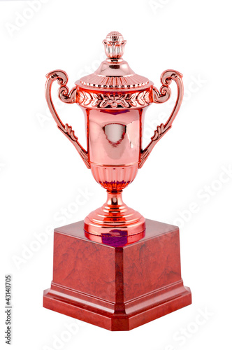 Photo: Bronze Trophy Bronze Trophy