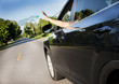 Littering the roads