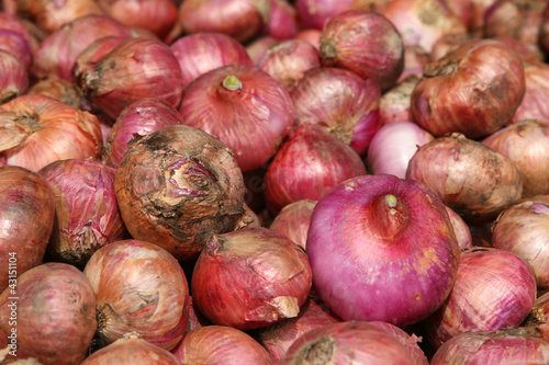 Photo: Red onion Red onion