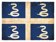 Grunge-Flagge Martinique (Frankreich)