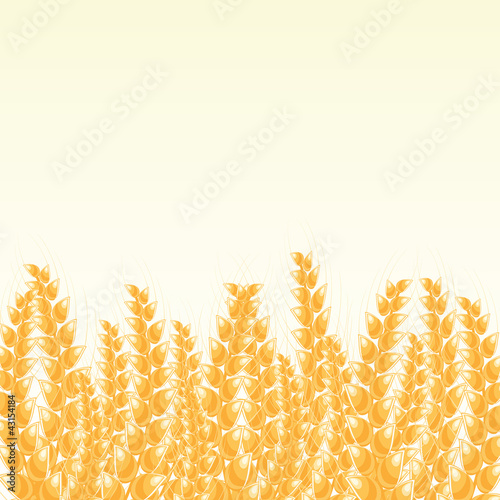 Vector: Wheat Post Card with Place for Text Wheat Post Card with Place for Text