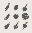 vegetables set of icons vector illustration