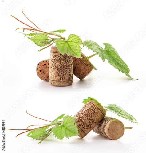 Photo: Wine cork with grape illustration and green leaves, on white Wine cork with grape illustration and green leaves, on white