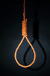 Gallows isolated on white background
