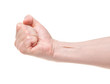 Fist. Gesture of the hand on white background