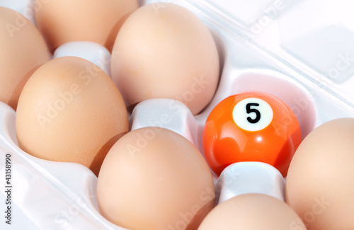 Photo: Eggs and billiards ball Eggs and billiards ball