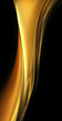 Elegant gold fractal wave on black background