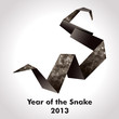 Year of the Snake