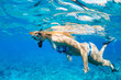 Woman Snorkeling in Tropical Ocean