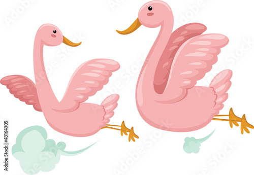 Vector: couple of birds flying couple of birds flying