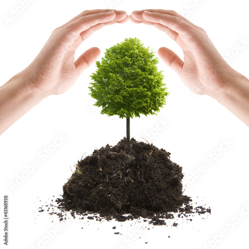 Foto: Naturschutz Naturschutz