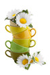 Coffee Cups