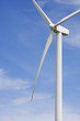 windmill
