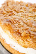 flat cake with an almond and sugar coating 