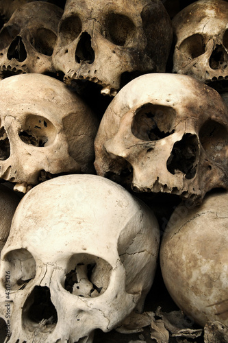 Photo: Stack of skulls Stack of skulls