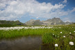 Bergwelt