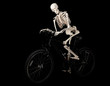 Photo: Ghost rider Ghost rider