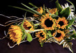 canvas print picture Sunflowers