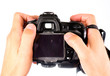 Camera in the hand
