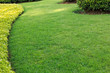 green grass background