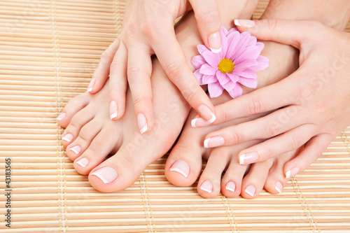 Photo: care for beautiful woman legs care for beautiful woman legs