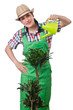 Girl watering plants on white