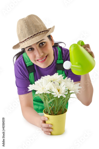 Photo: Girl watering plants on white Girl watering plants on white