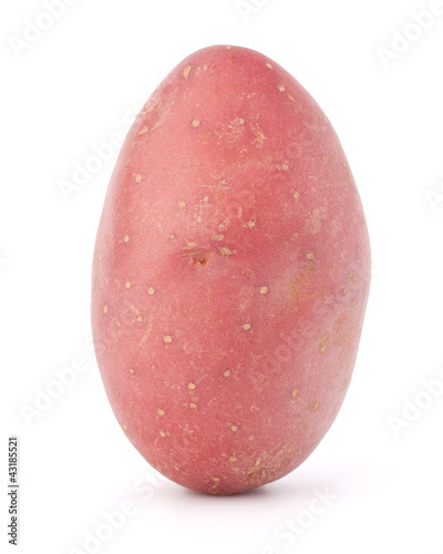 Photo: New potato tuber New potato tuber
