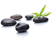 Zen pebbles. Stone spa and healthcare concept.