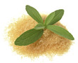 stevia rebaudiana with a sugar
