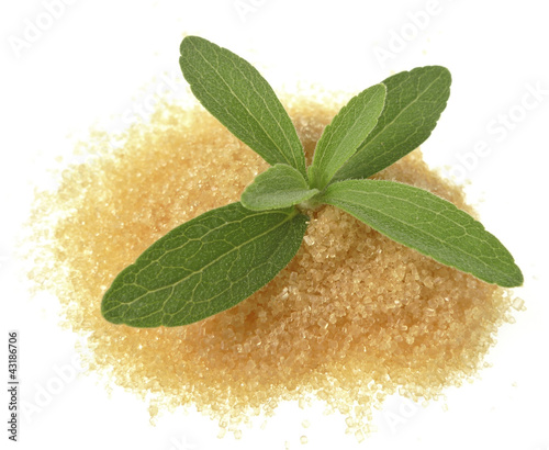 Photo: stevia rebaudiana with a sugar stevia rebaudiana with a sugar