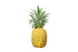 Ripe pineapple isolated on white