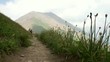 Son and father walking in the high Alps mountains
