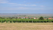 Urlaubs-und Winzerdorf Mörbisch am Neusiedler See