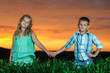 group of happy children playing on meadow, sunset, summertime