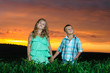 group of happy children playing on meadow, sunset, summertime