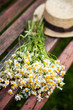 Photo: Wildflowers and straw hat on bench Wildflowers and straw hat on bench