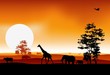 beauty silhouette of safari animal