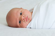 Two week old newborn baby boy