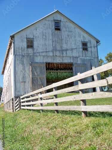 Photo: Tobacco Farm Tobacco Farm