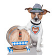 oktoberfest dog