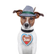 dog oktoberfest