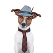 dog oktoberfest