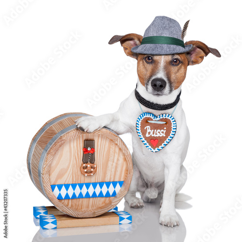 Photo: oktoberfest dog oktoberfest dog