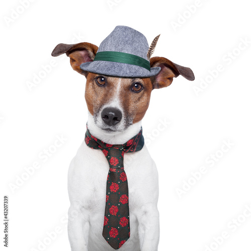 Foto: dog oktoberfest dog oktoberfest